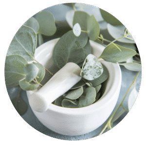 Eucalyptus Energy Boost
